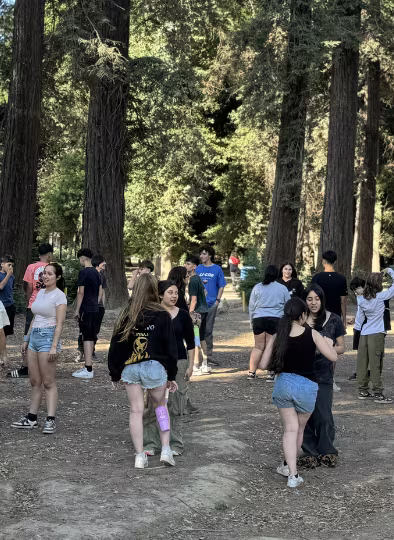 Campamento de la Amistad - 8° Básico