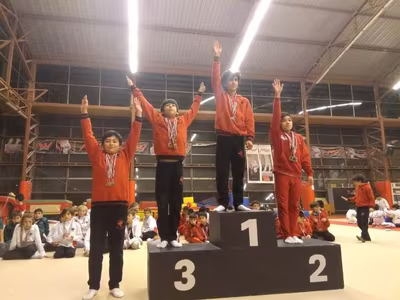 Copa Manquehue de Gimnasia