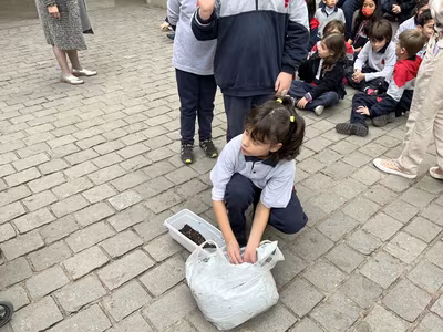Siembra del Trigo 3° Básicos