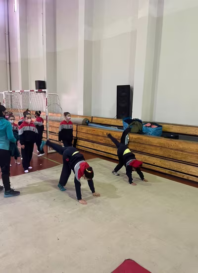Liga Escolar de Gimnasia Artística (LEGA)
