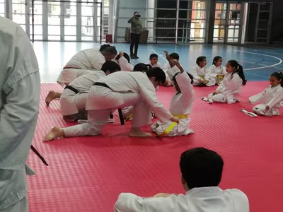 Cambio Cinturón Karate