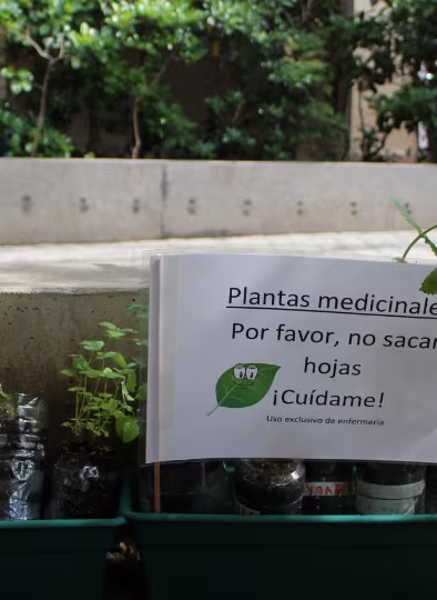 Proyecto Maceteros Autorregantes  - 5° Básicos.