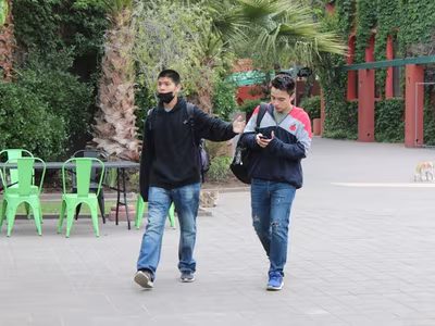 Trabajos de Fábrica - III° Medios