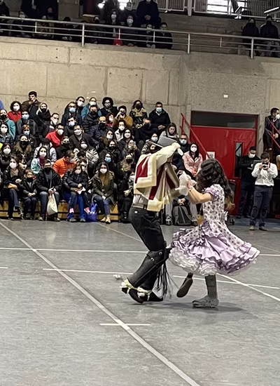 Danzas Folclóricas 1° y 2° Básico