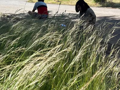 Campamento de la Amistad