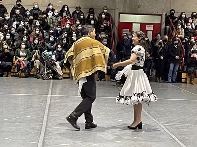 Danzas Folclóricas 1° y 2° Básico