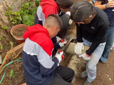 Trabajos de Invierno 2026