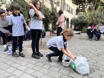 Siembra del Trigo 3° Básicos
