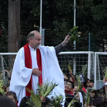Bendición de Ramos